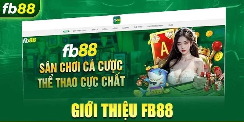 Giới Thiệu về Nhà cái FB88
