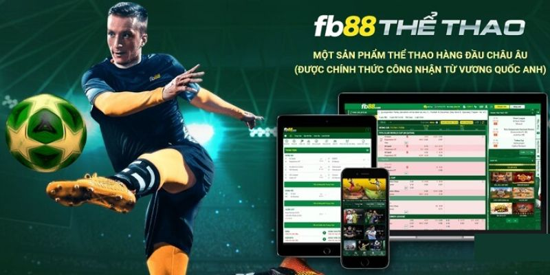 Lý do nên lựa chọn Thể thao FB88 để cá cược